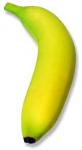 banane pourrite